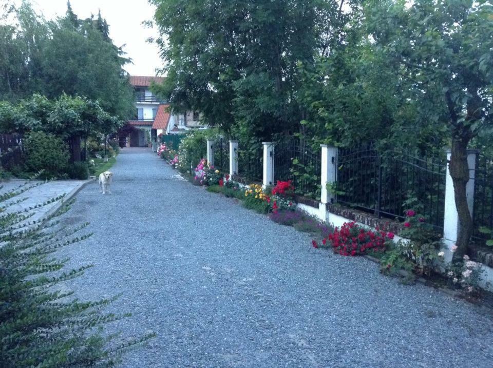 Hôtel Cascina Rondinella à Giaveno Extérieur photo